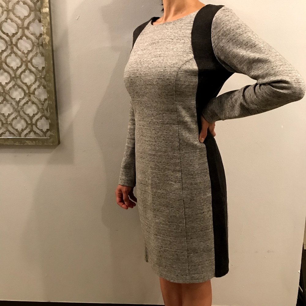 Club Monaco Winter Long Sleeve Sheath Dress Sz 6